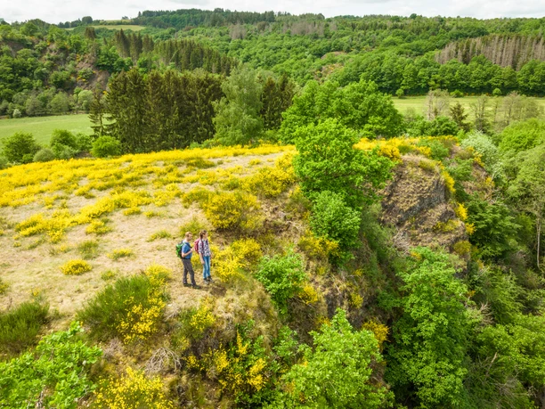 Eifelgold Route, toller Aussichtspunkt auf der Wanderung