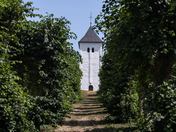 Allee zum Swister Turm, EifelSpur zwischen Ville und Eifel