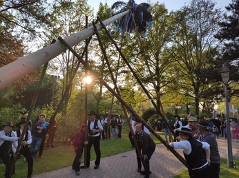 Maibaumstellen Foto Maenner