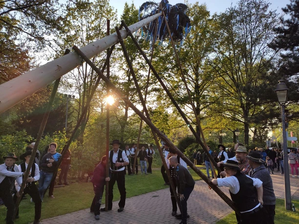 Maibaumstellen Foto Maenner