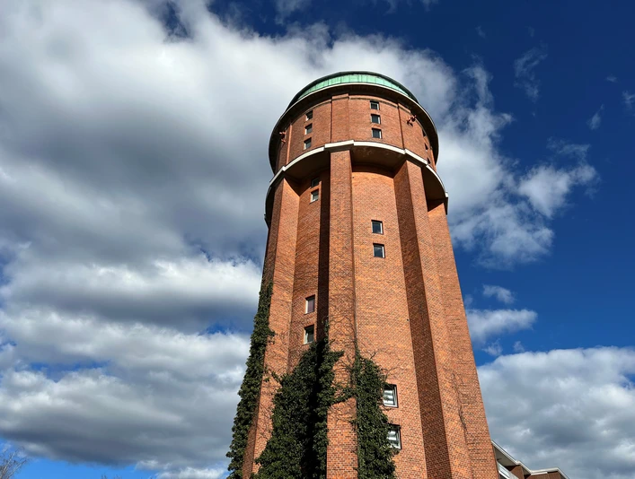 Wasserturm Backstein-Wasserturm mit bewachsendem Efeu vor dramatischem Wolkenhimmel in norddeutscher Landschaft.