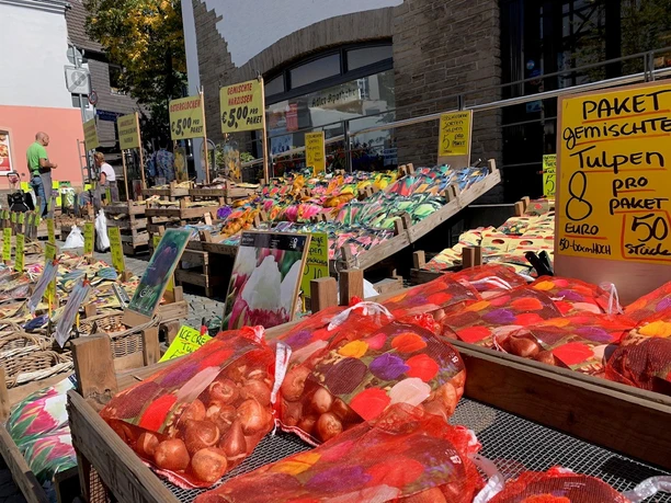 Herbstfest 2019
