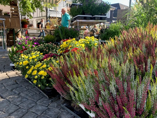 Herbstfest 2019