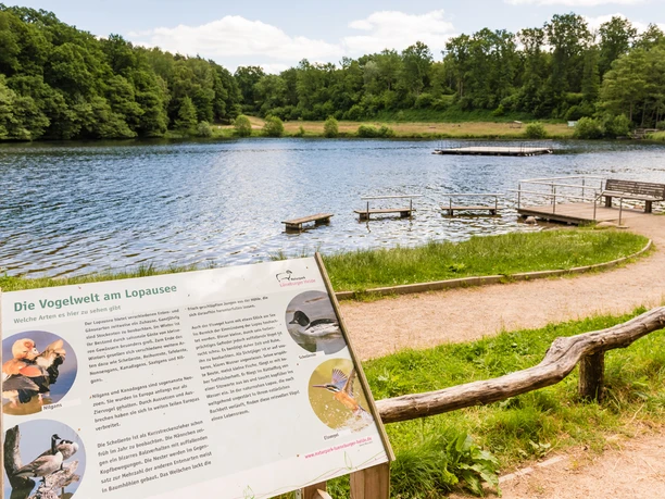 Informationstafel zur Vogelwelt am Ufer des Lopausees mit Blick auf Wasser und Wald.