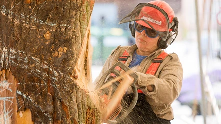 Wood-sculpture-festival-ler-le-trapp