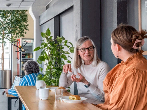 Bispens_Cafe_hochsitz Bispens_Cafe_hochsitz