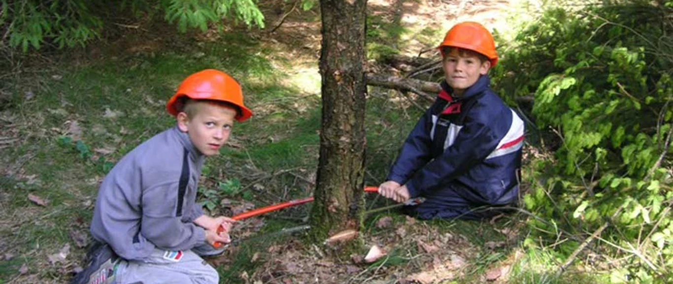 Vestergaard og Kollund