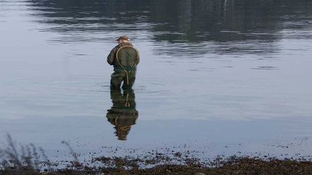 Lovtrup Fiskesø