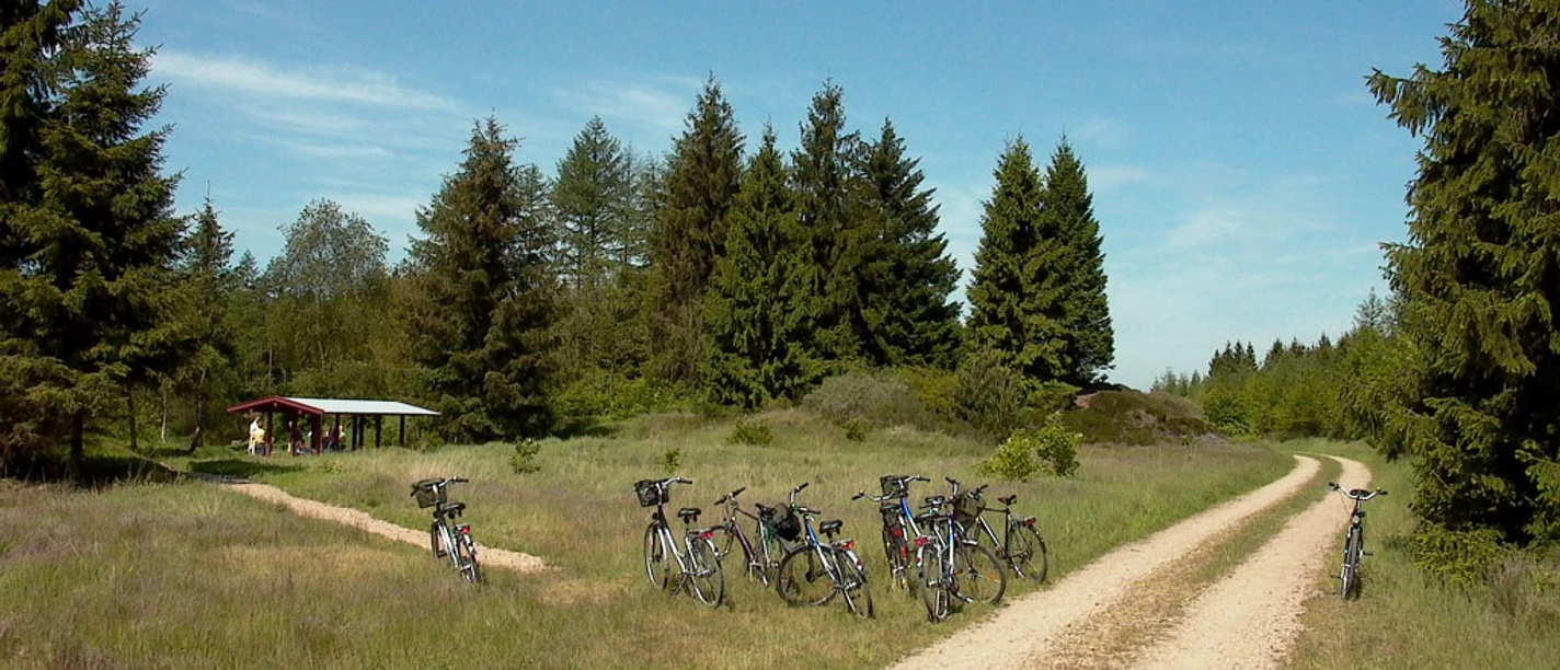 Bolderslev skov