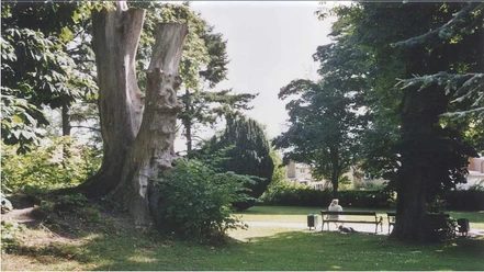 Kongevejsparken