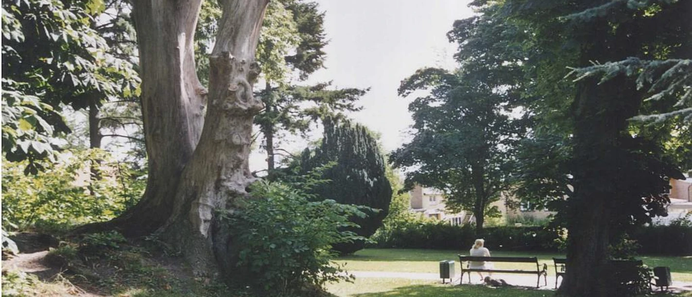 Kongevejsparken