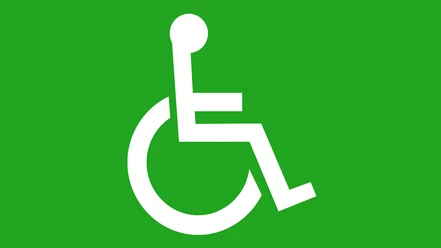 Handicap