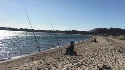 Hejsager Strand Fiskeri (1)