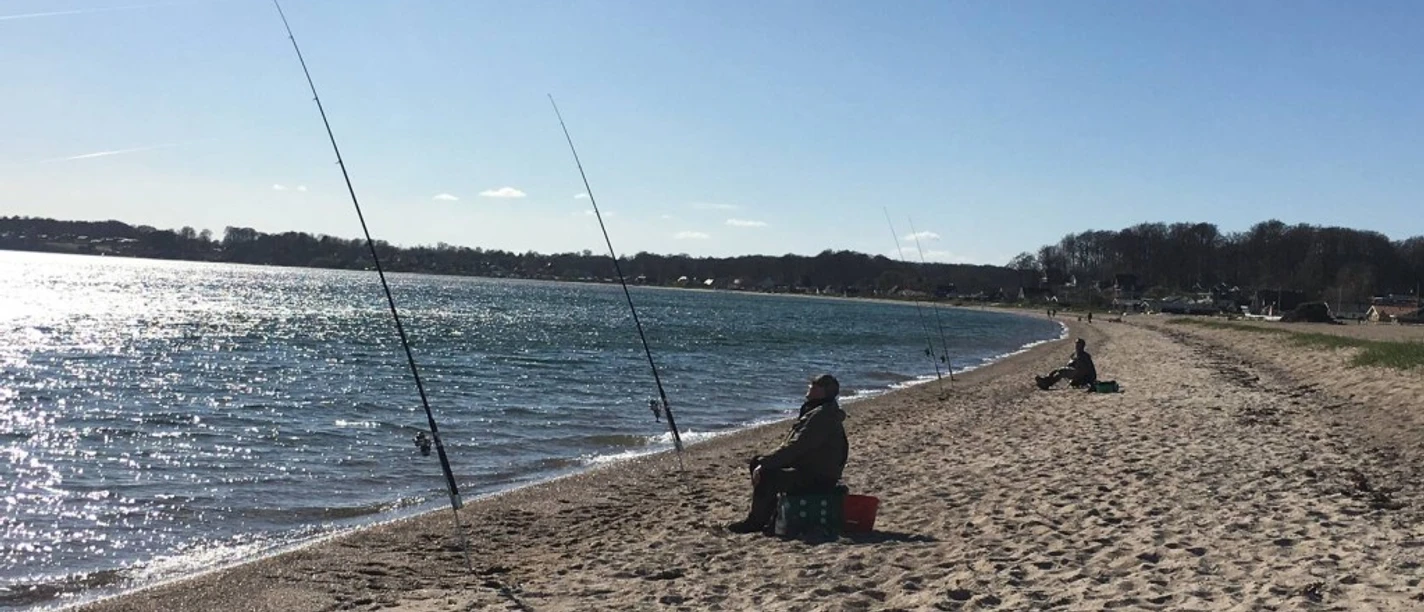 Hejsager Strand Fiskeri (1)