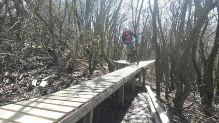 X-trails 1-2