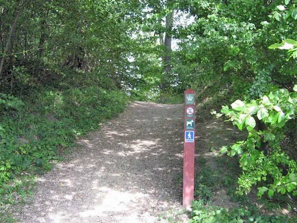 Nederstjernen Nederstjernen