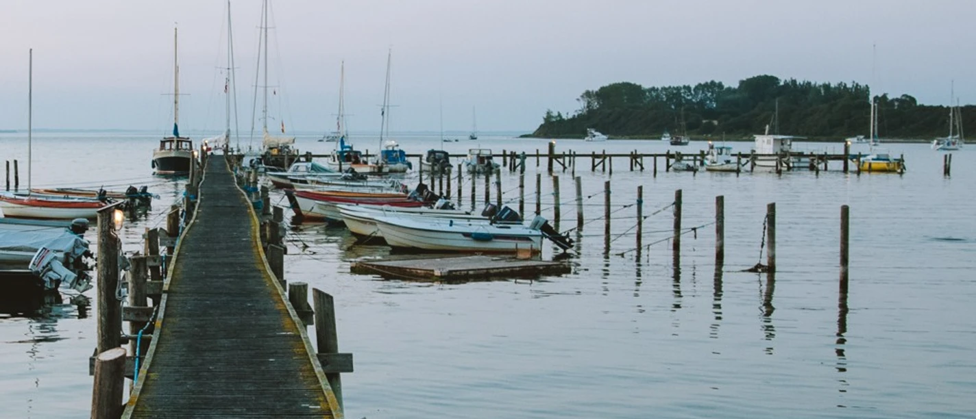 Varnæs vig den gyldne løve DSSJ 1024 x 576