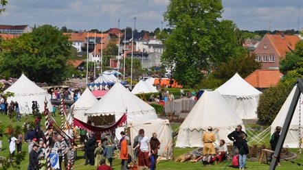 Hertug Hans Festival 4 (4)