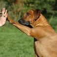 High-five