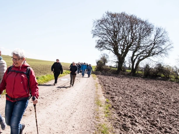 Camino Næs 2 (2)