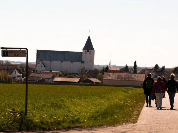 Camino Næs 1 (1)