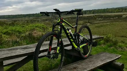 mountainbikevedstensbækplantage