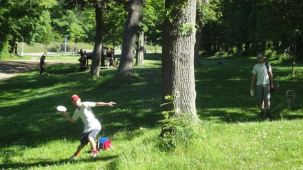 Disc golf 3