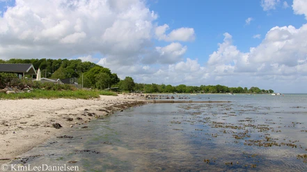 Sandersvig Strand 3