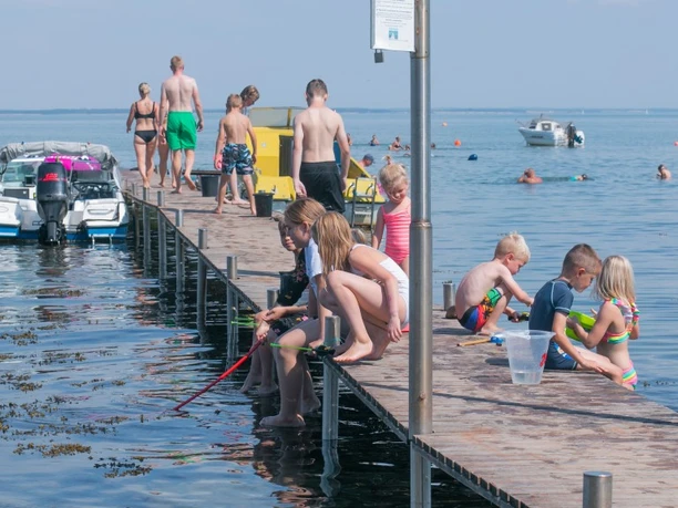 Sandersvig Strand, camping 2 (2)