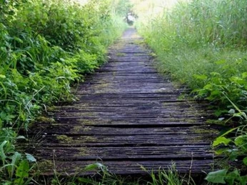 Hawaii Massage 1 (1)