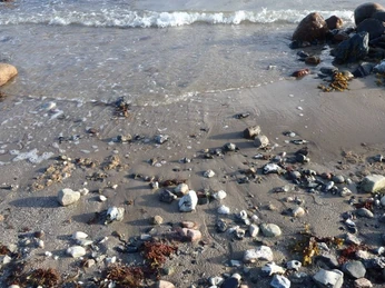 Aarø Sydstrand 3 (3)