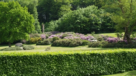 GramSlotspark 3 (3)
