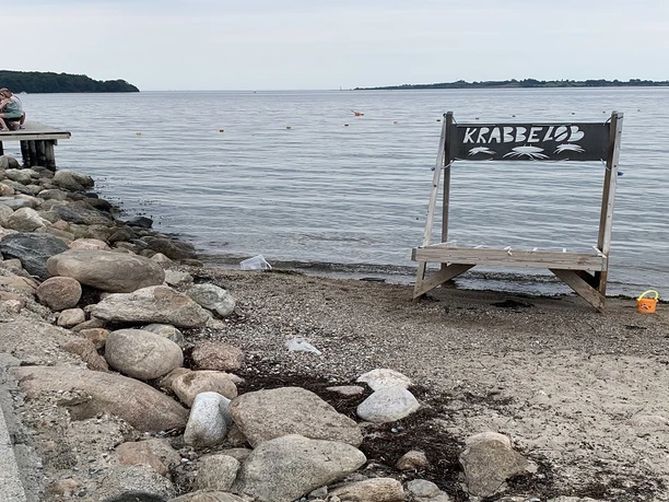 Sandskær strand krabbeløb - Josefine - GDK