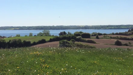 barsø1