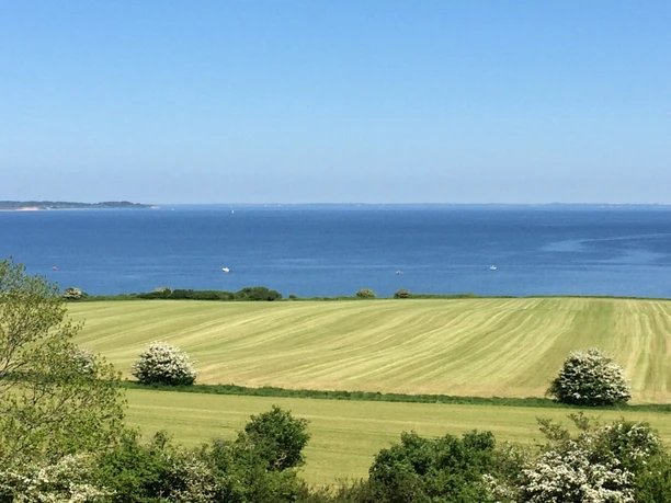 barsø