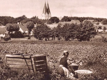 Broagerlands-Lokalarkiv-3