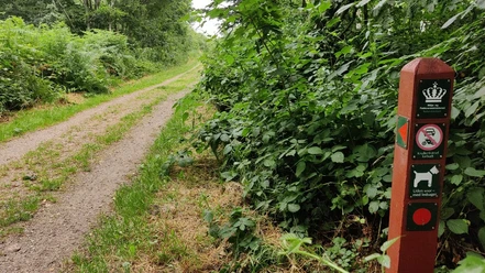 Kiskelund plantage
