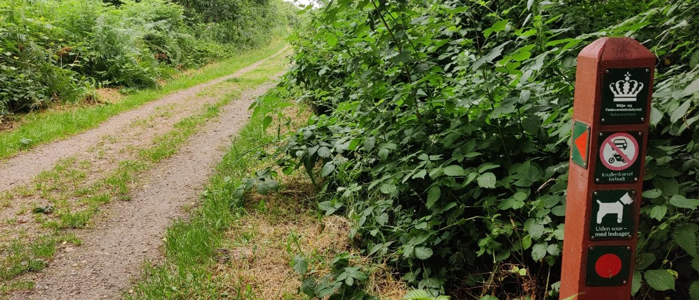 Kiskelund plantage