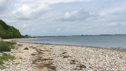 Halk Strand 2 (2)