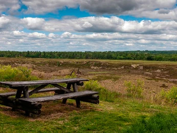 stensbak_plantage_vue_udsigt_ballum_bjerg_bank_per_flong