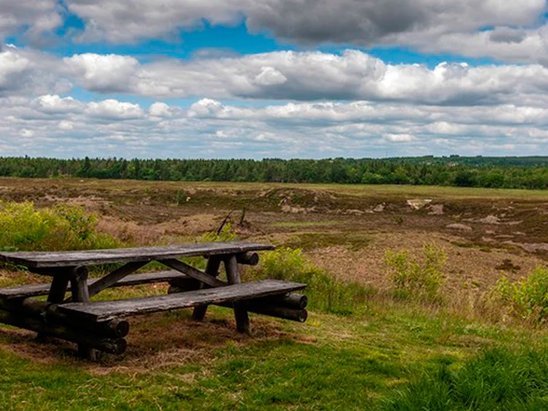 stensbak_plantage_vue_udsigt_ballum_bjerg_bank_per_flong stensbak_plantage_vue_udsigt_ballum_bjerg_bank_per_flong