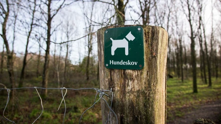 hundeskov