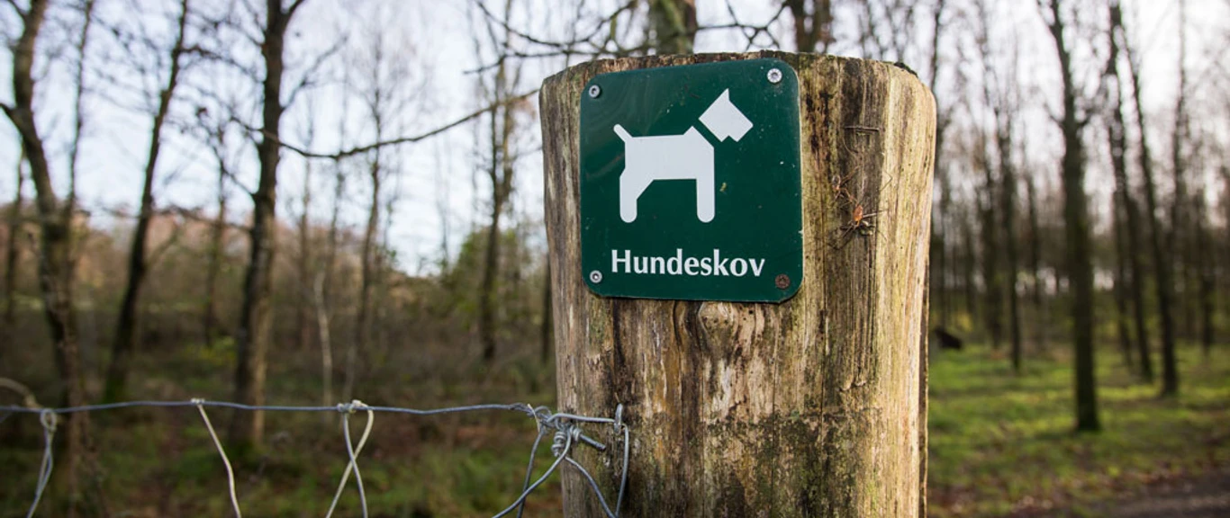 hundeskov