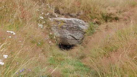 Jættestuerne ved Over Jerstal