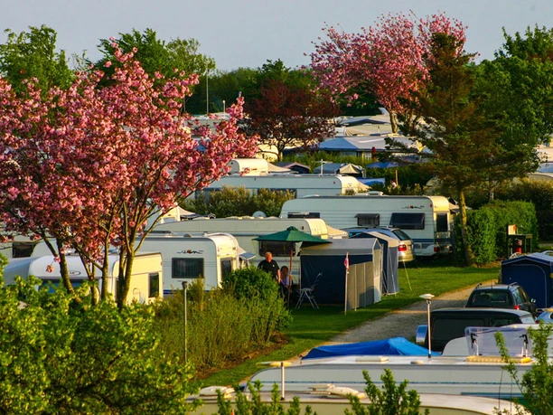 Gammelbro camping
