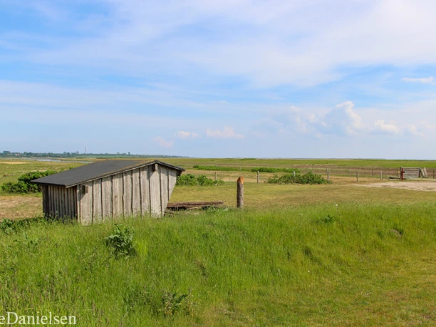 Hejsager Strand Shelter 4