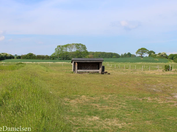 Hejsager Strand Shelter 1