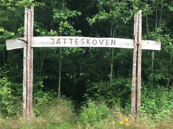 Vojens Spejderne 6 (6)