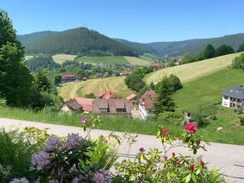 Panoramablick80_Sommer