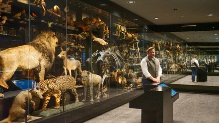 naturhistorisches-museum-bs-schaumagazin-dr-reich-1-beate-ziehres.jpg